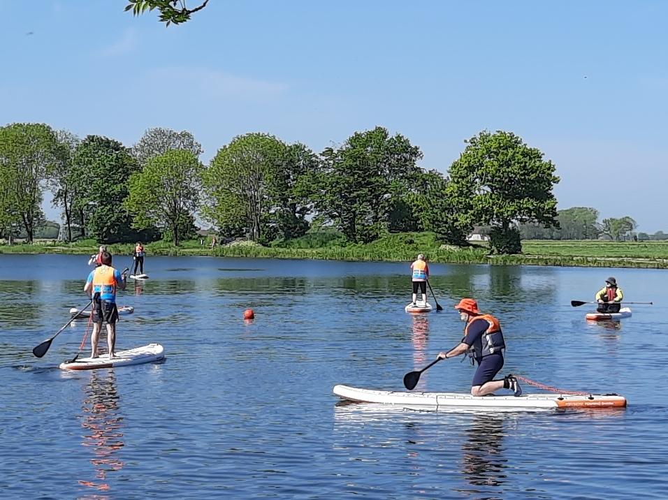 Mehrere Personen paddeln auf Stand-Up-Paddle-Boards auf einem ruhigen Gewässer, umgeben von grüner Natur und klarem Himmel.
