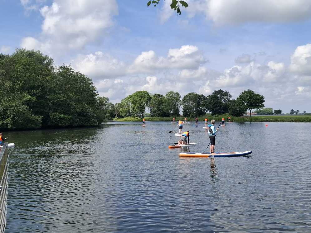 Mehrere Personen stehen auf SUP-Boards auf einem ruhigen See mit Bäumen am Ufer.